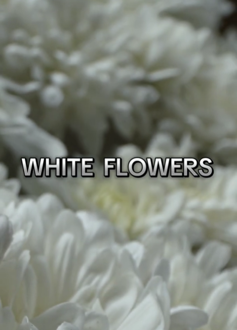 MIA DOLCEZZA VERDE -Perfume Unisex-