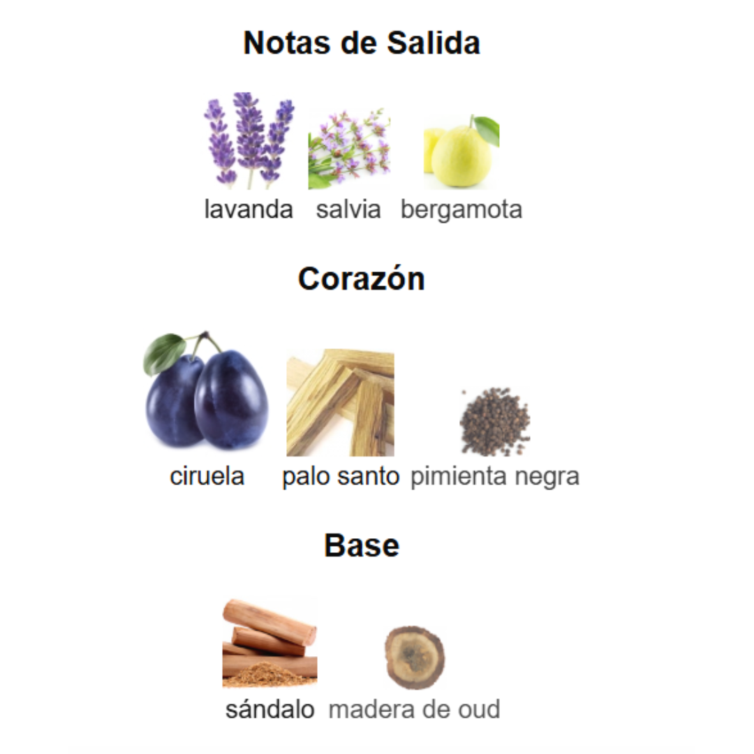 Pack 5 en 1 - Unisex- Mod 2.