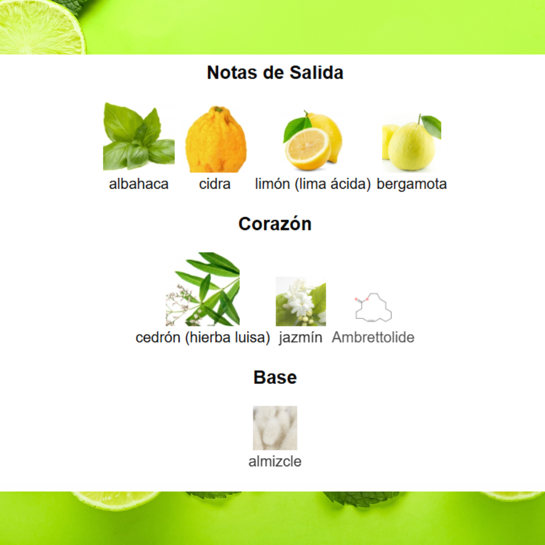 VOUX ZINGY -Perfume Unisex-