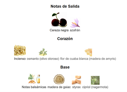 Pack de 5 en 1 -Unisex- Mod 1.