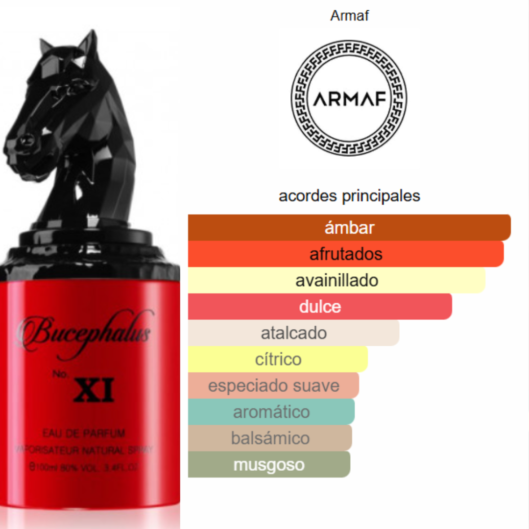 Bucephalus XI Permume - Hombre