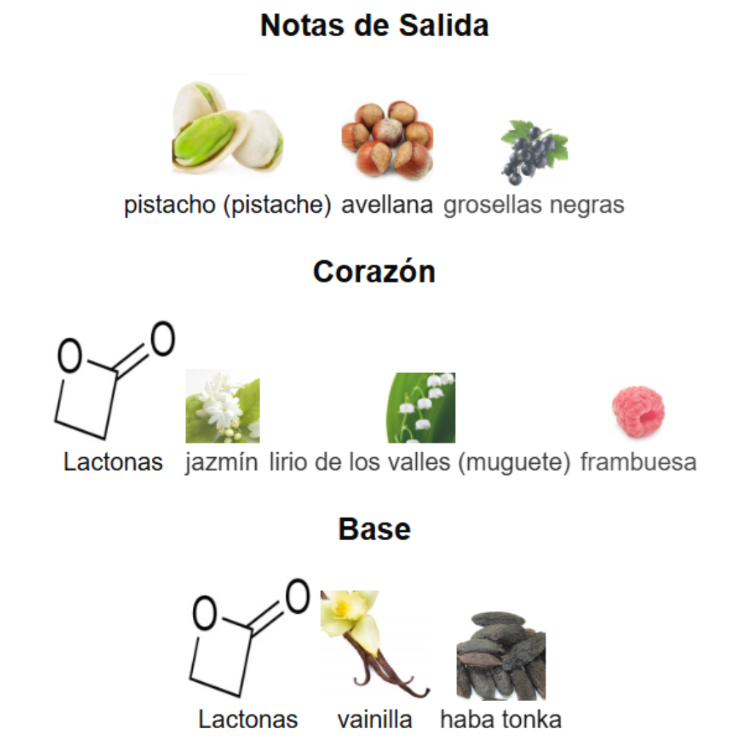 Pack de 5 en 1 -Unisex- Mod 1.