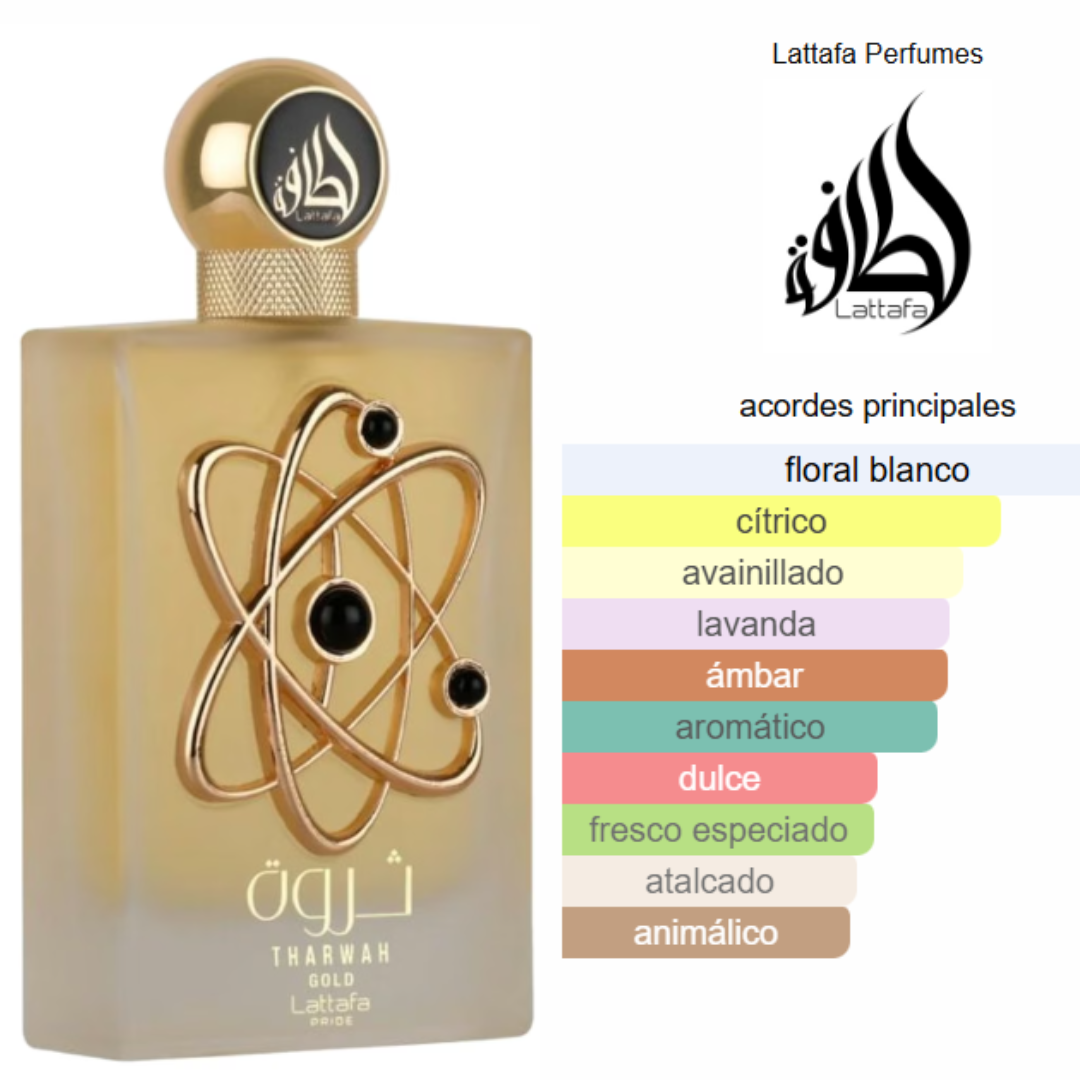 Pack de 5 en 1 -Unisex- Mod 1.