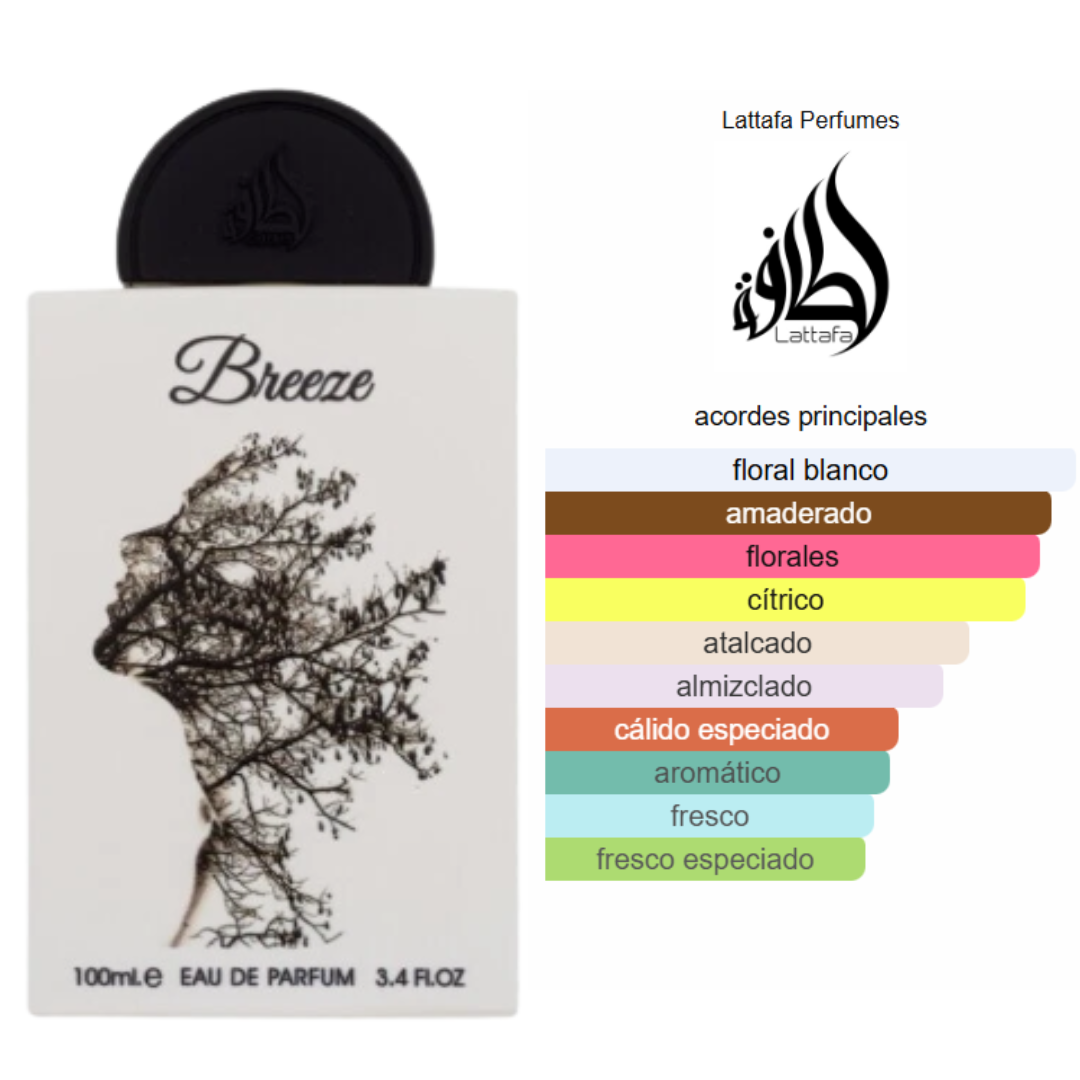 Pack de 5 en 1 -Unisex- Mod 1.