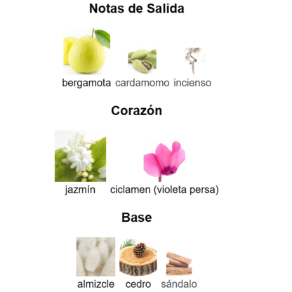 Pack de 5 en 1 -Unisex- Mod 1.