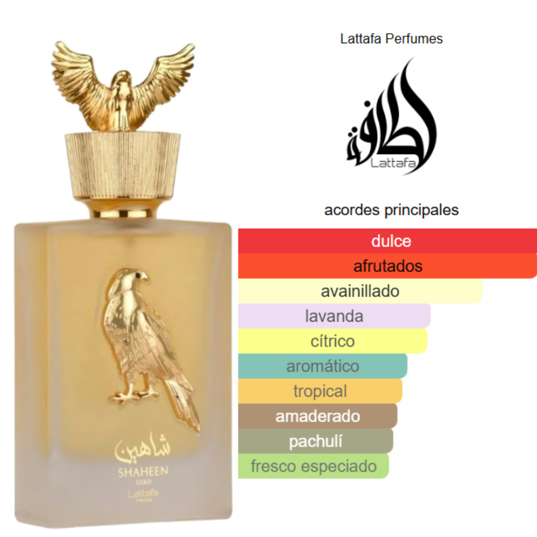 Pack de 5 en 1 -Unisex- Mod 1.