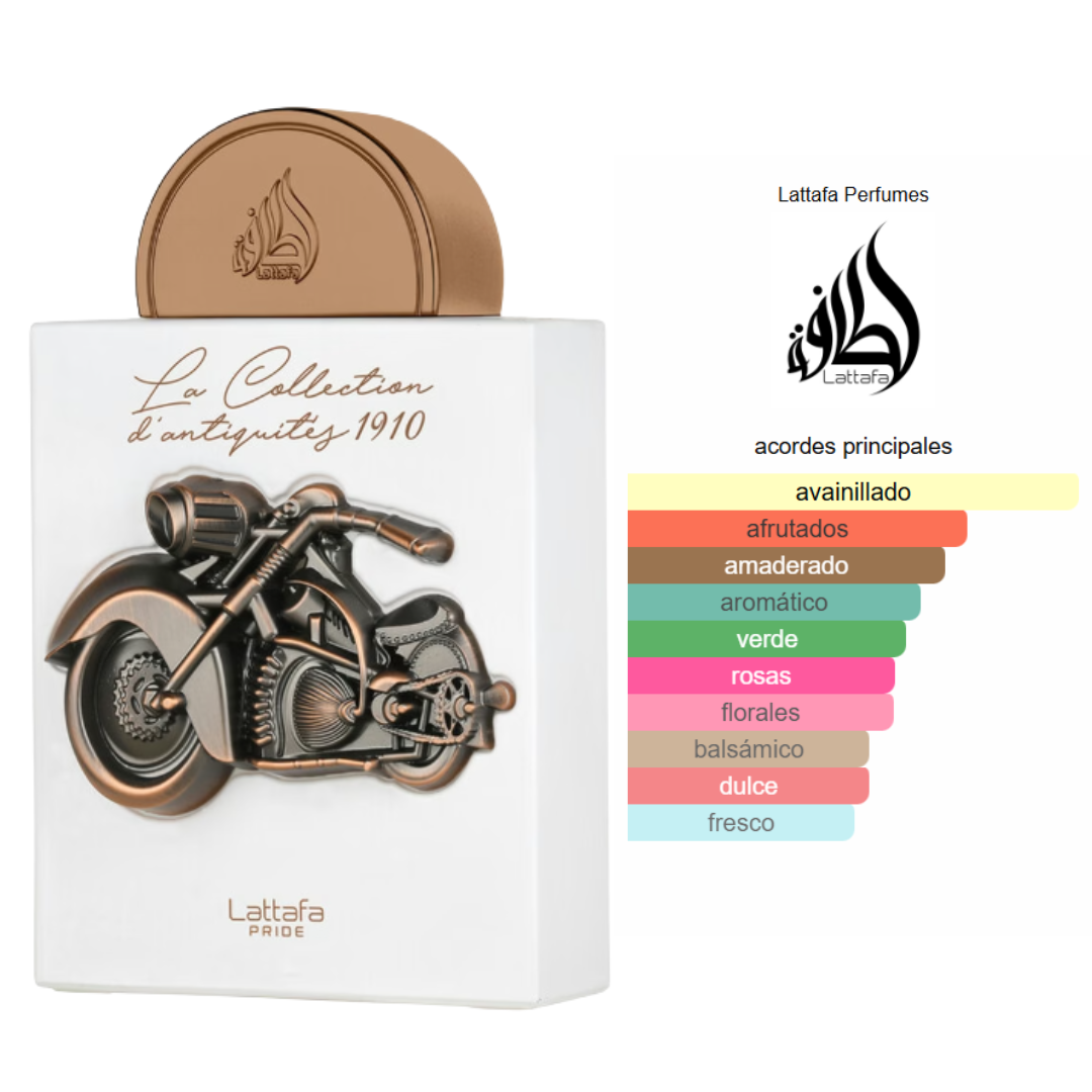 Pack 5 en 1 - Unisex- Mod 2.