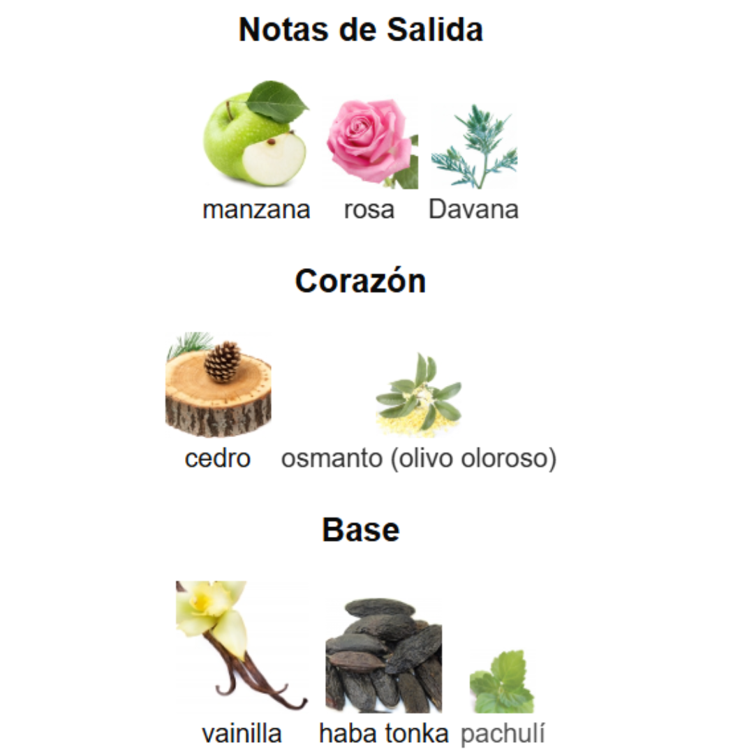 Pack 5 en 1 - Unisex- Mod 2.