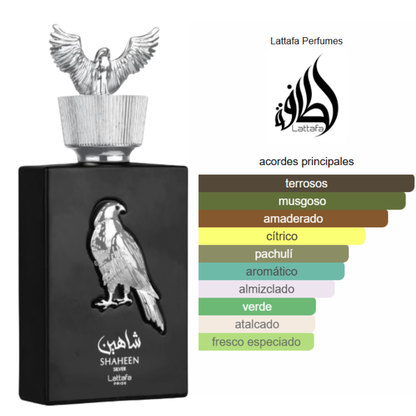 Pack 5 en 1 - Unisex- Mod 2.