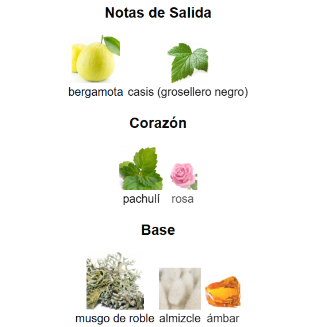 Pack 5 en 1 - Unisex- Mod 2.