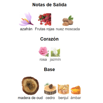 Pack 5 en 1 -Unisex- Mod 3.