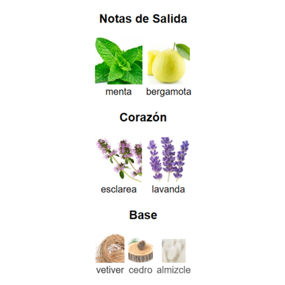 Pack 5 en 1 -Unisex- Mod 3.