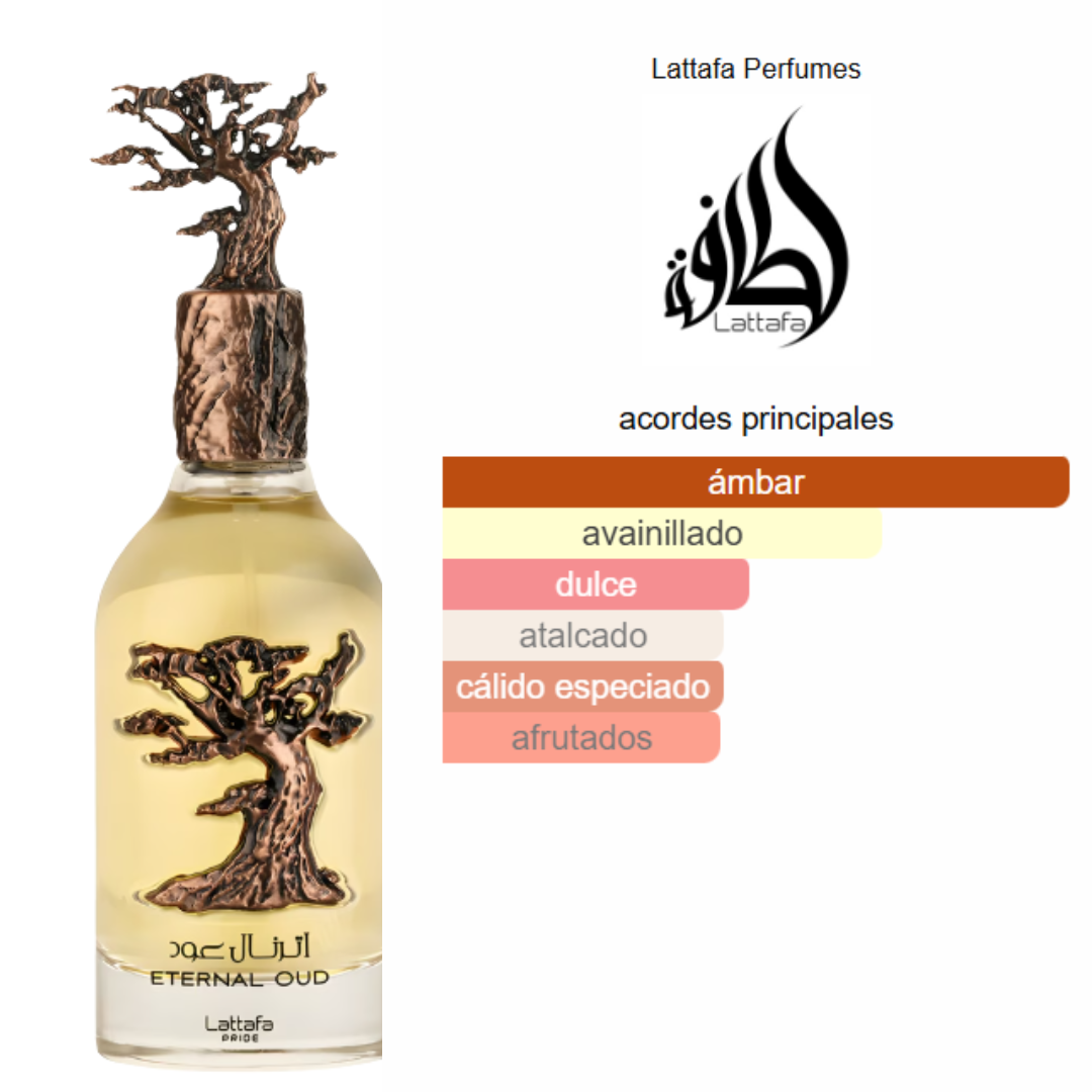 Pack 5 en 1 -Unisex- Mod 3.