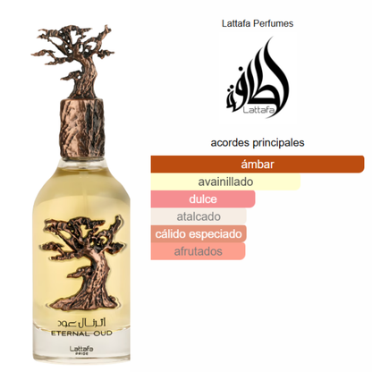 Pack 5 en 1 -Unisex- Mod 3.