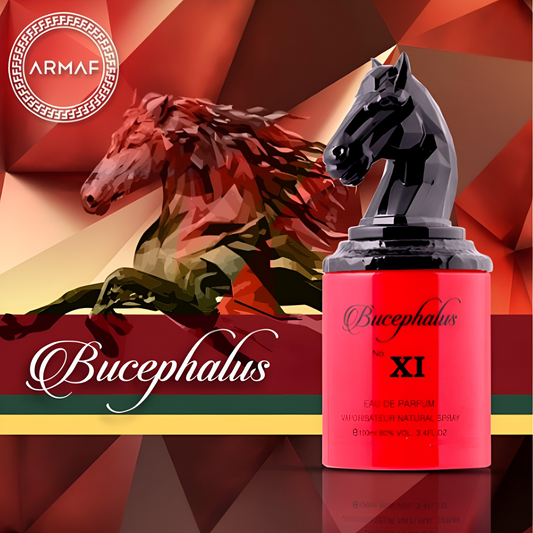 Bucephalus XI Permume - Hombre